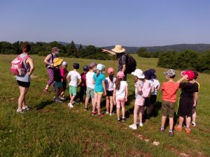 Observation des oiseaux et écoute